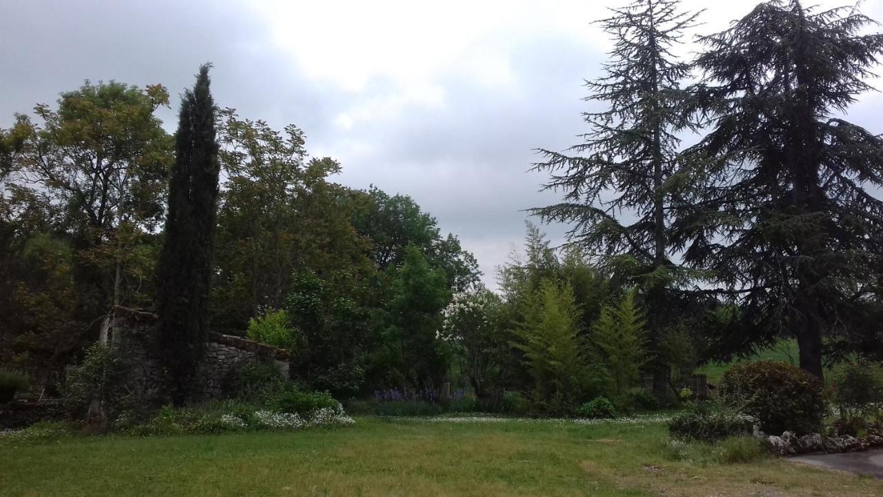 לינה וארוחת בוקר Fargues  Domaine De Seguela מראה חיצוני תמונה