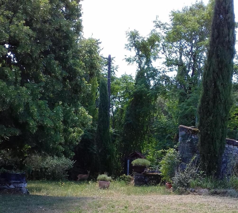 לינה וארוחת בוקר Fargues  Domaine De Seguela מראה חיצוני תמונה