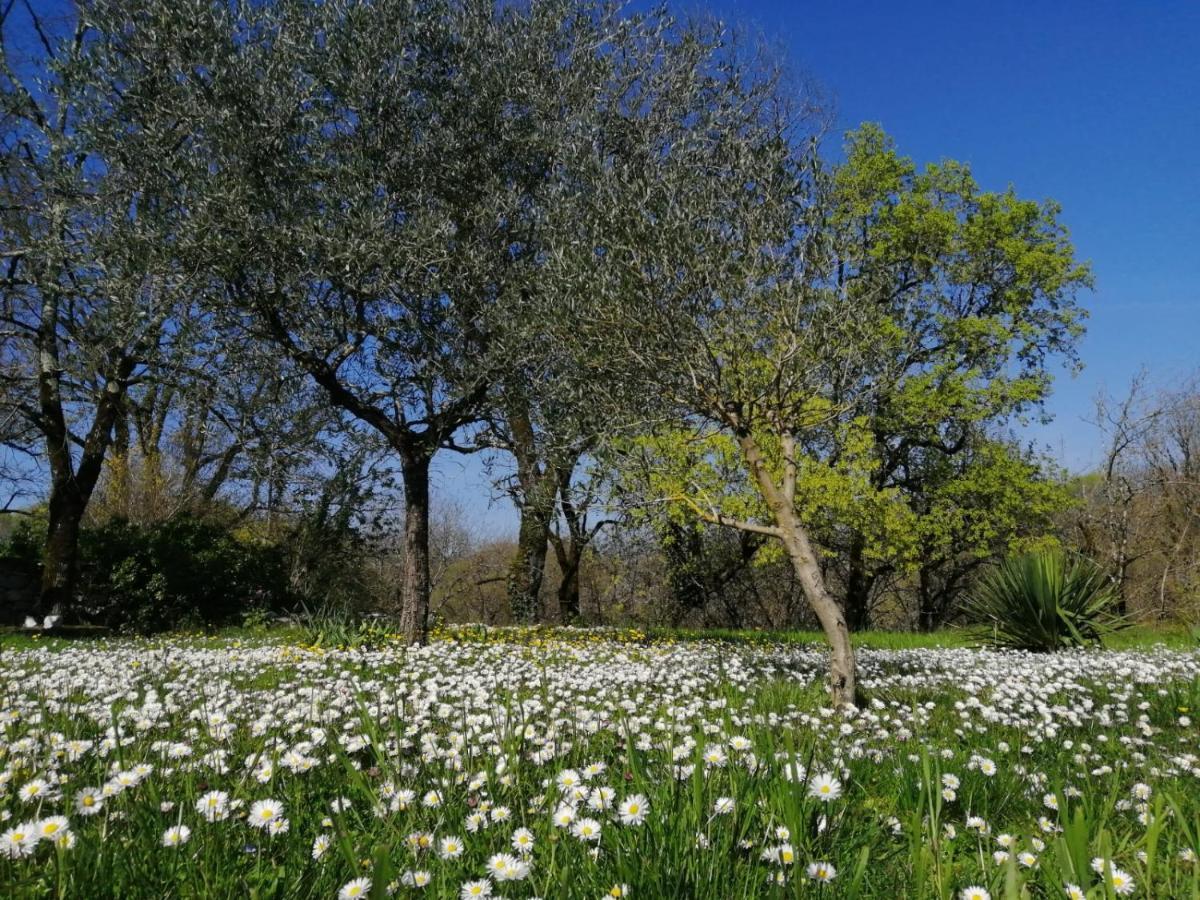 לינה וארוחת בוקר Fargues  Domaine De Seguela מראה חיצוני תמונה